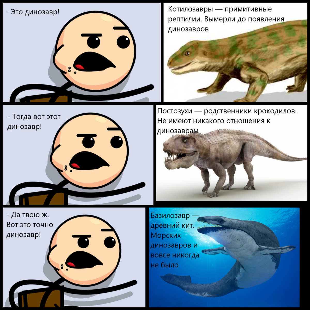 Кто такие динозавры?