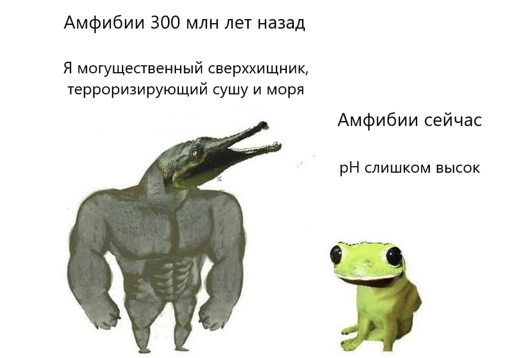 Амфибии тогда и амфибии сейчас