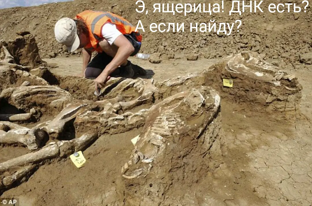 Почему мы не можем воскресить динозавров?