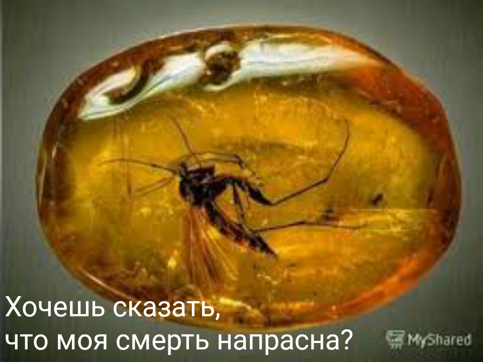 Почему мы не можем воскресить динозавров?