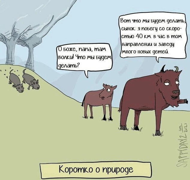 «Родительский инстинкт» в природе