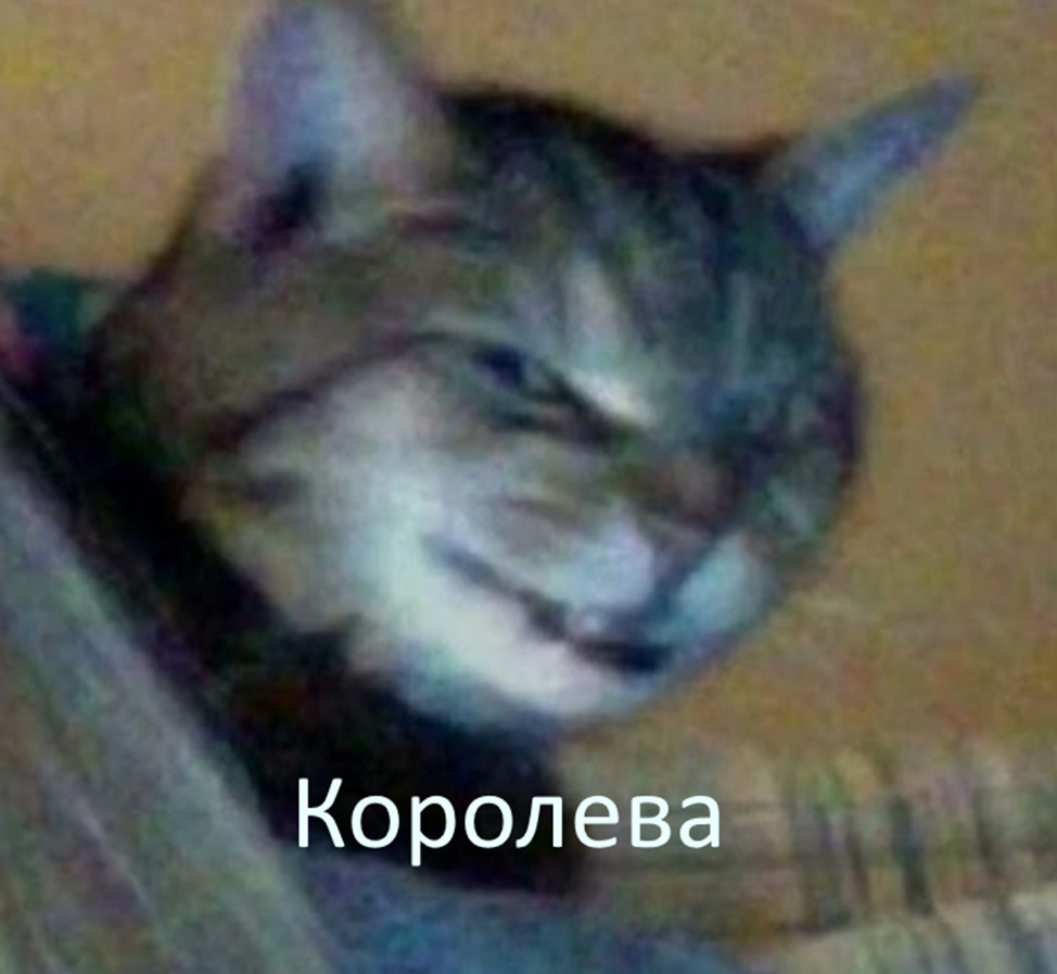 Солнце, Луна и Талия (Спящая красавица)