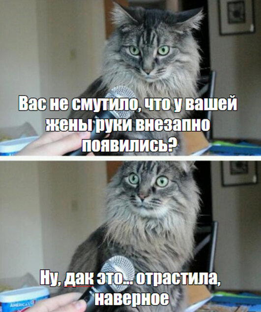Сказка про Безручку