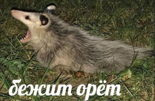 Как видео и звук передаются по воздуху. Часть 1. Что такое звук