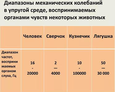 Как видео и звук передаются по воздуху. Часть 1. Что такое звук