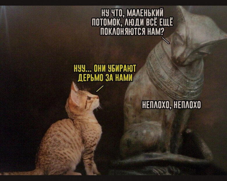Славянская мифология. Культ животных