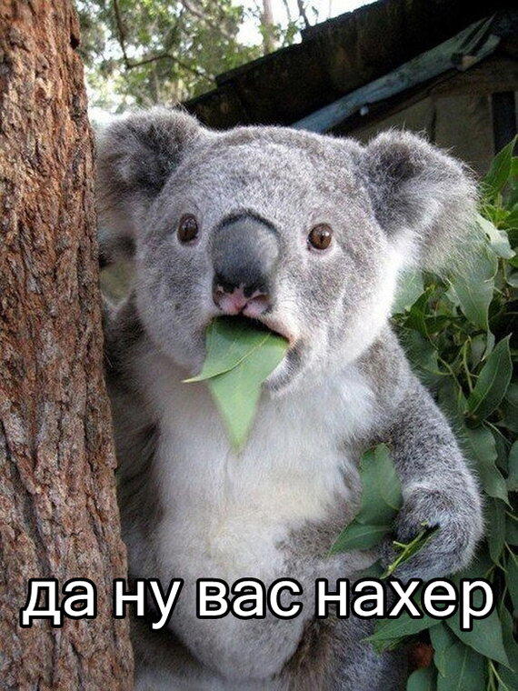 Славянская мифология. Домашняя нечисть