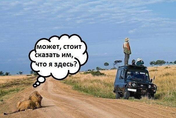 Безопасность мотоциклиста. Рейтинг факторов.