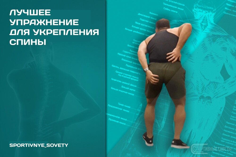 Лучшее упражнение для укрепления спины