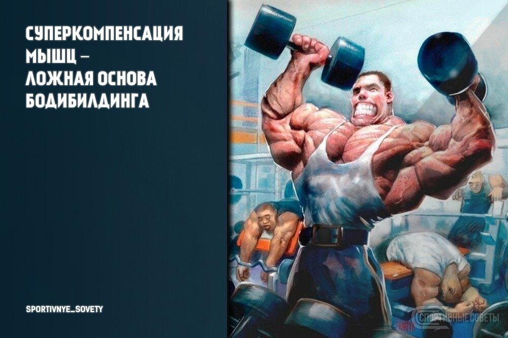 Суперкомпенсация мышц – ложная основа бодибилдинга