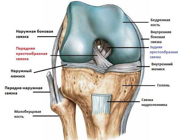 Глубокие приседания это вредно?