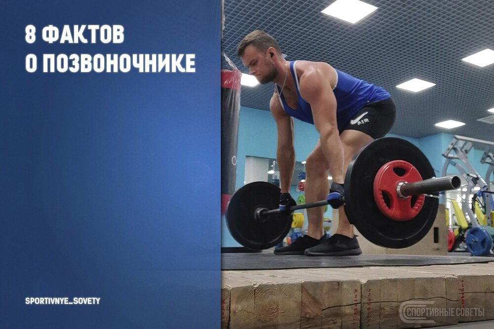 8 фактов о позвоночнике