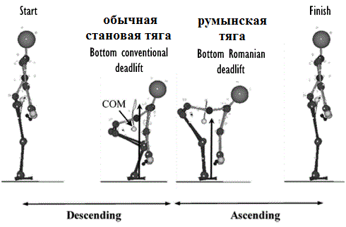 Что лучше для ягодиц – обычная становая или румынская тяга?