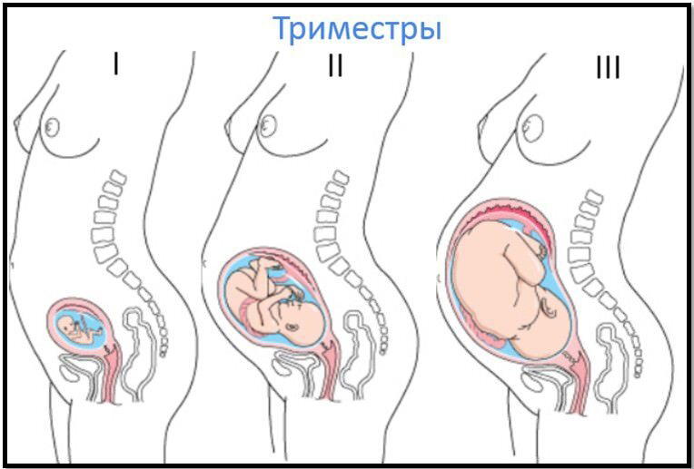 Тренировки при беременности