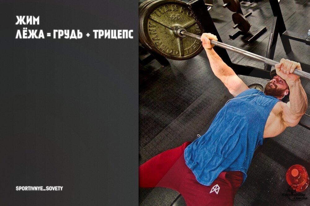 Жим лёжа = грудь + трицепс