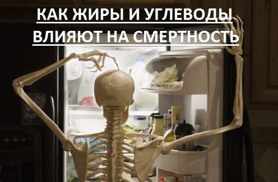Как жиры и углеводы влияют на смертность