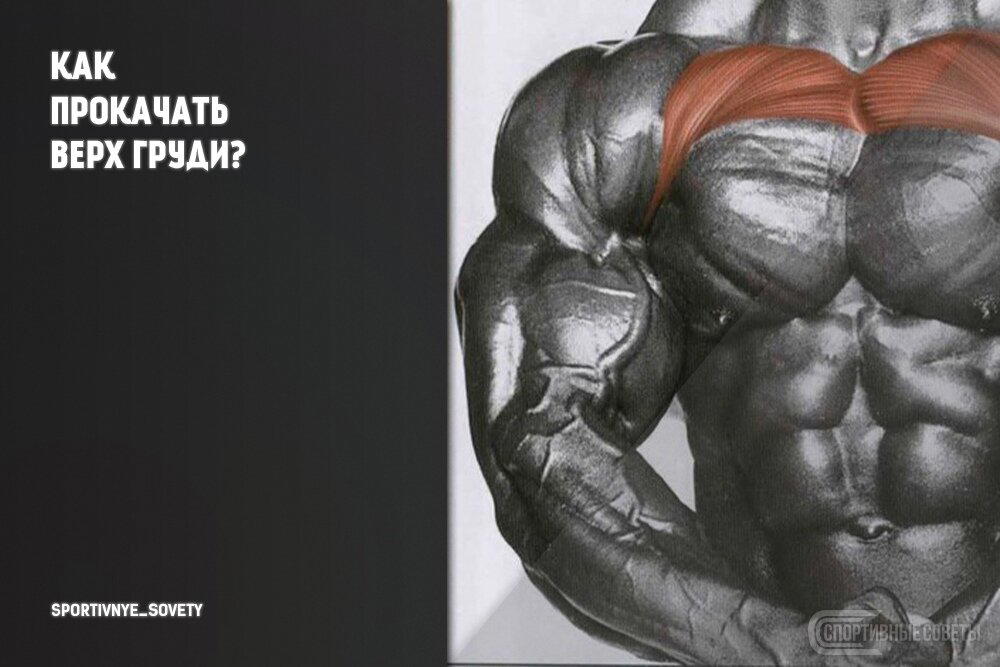 Как прокачать верх груди?
