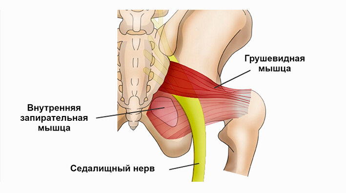 Гиперэкстензия с круглой спиной для ягодиц