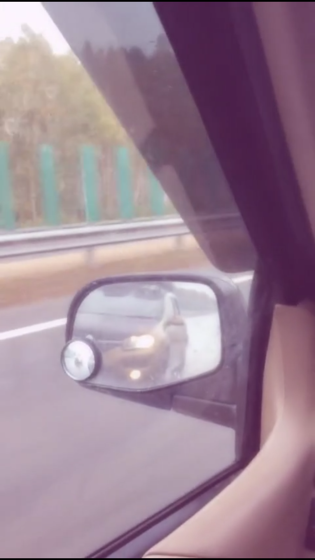 Случай на дороге...
