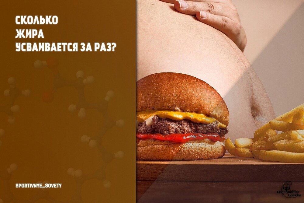 Сколько жира усваивается за раз?