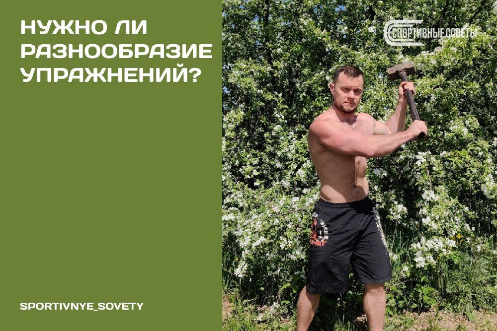 Нужно ли разнообразие упражнений?