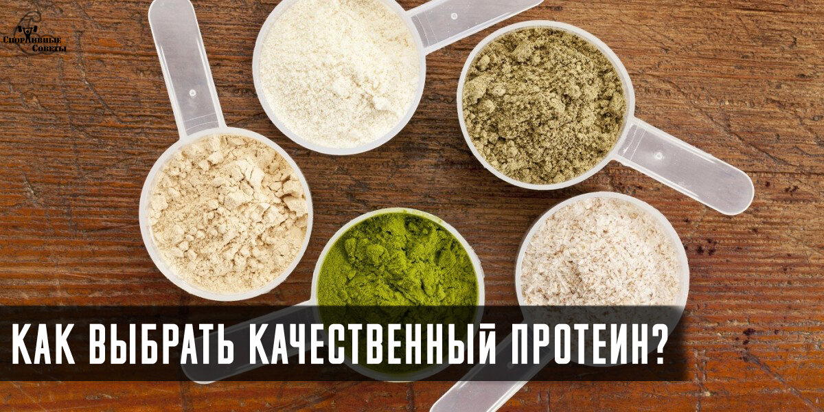 Как выбрать качественный протеин?