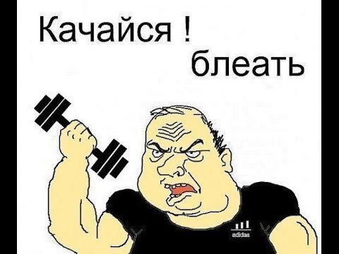 Почему не нужно сидеть на диетах