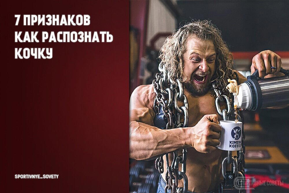 7 признаков как распознать кочку