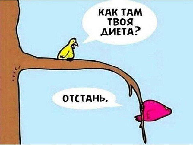 Самая лучшая диета