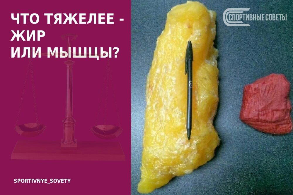 Что тяжелее – жир или мышцы?