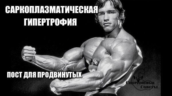 Саркоплазматическая гипертрофия. Пост для продвинутых