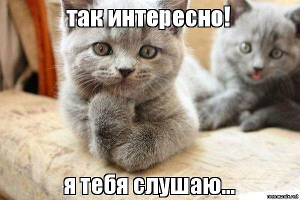 Тест протеинов и протеиновых батончиков. Кто же лучший?