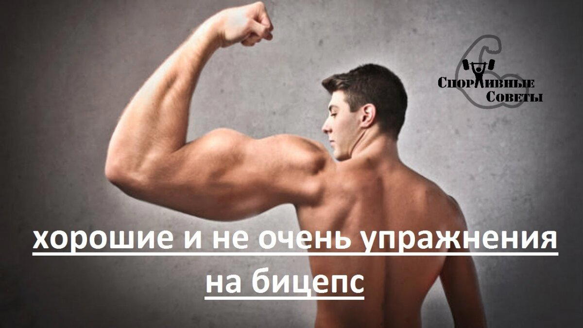 Хорошие и не очень упражнения на бицепс