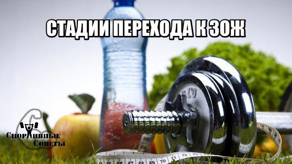 Стадии перехода к ЗОЖ