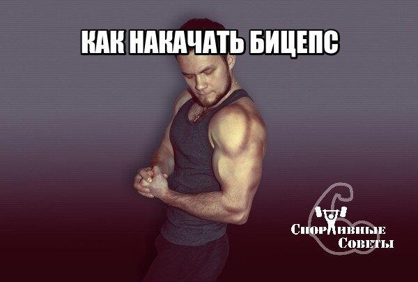 Как накачать бицепс