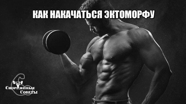 Как накачаться эктоморфу