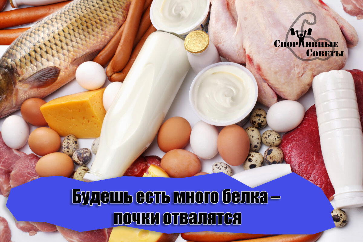 Будешь есть много белка – почки отвалятся