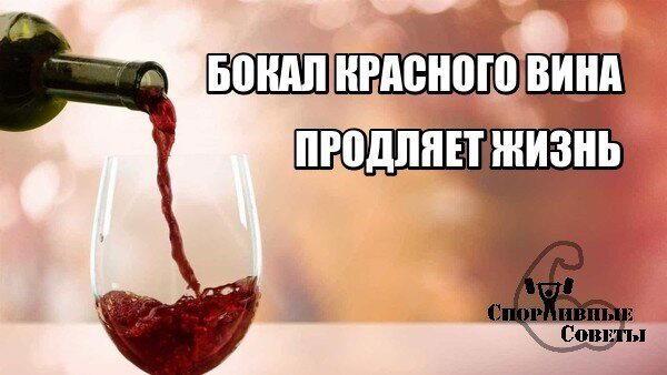 Бокал красного вина продляет жизнь