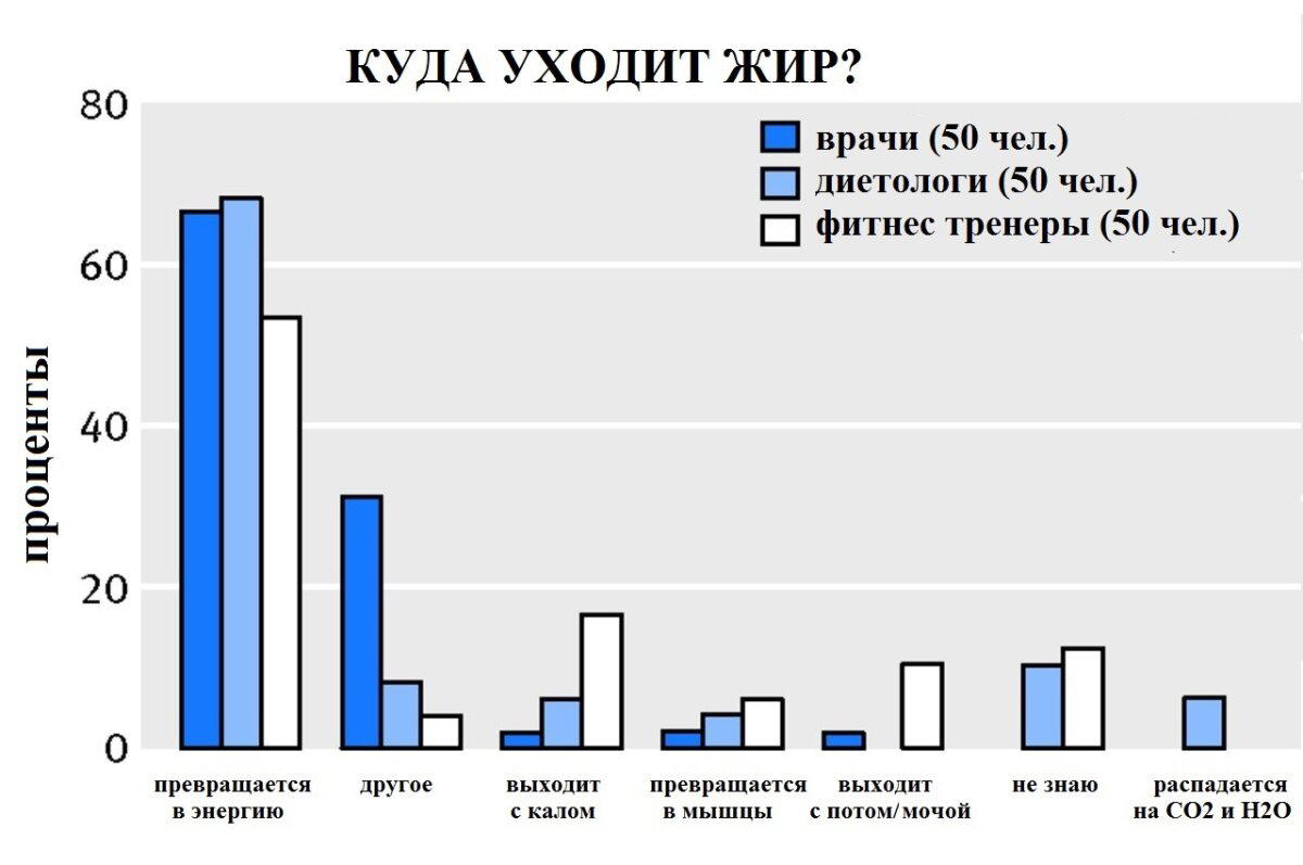 Куда уходит жир при похудении?