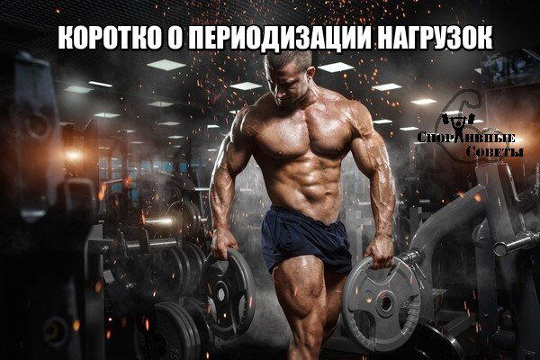 Коротко о периодизации нагрузок
