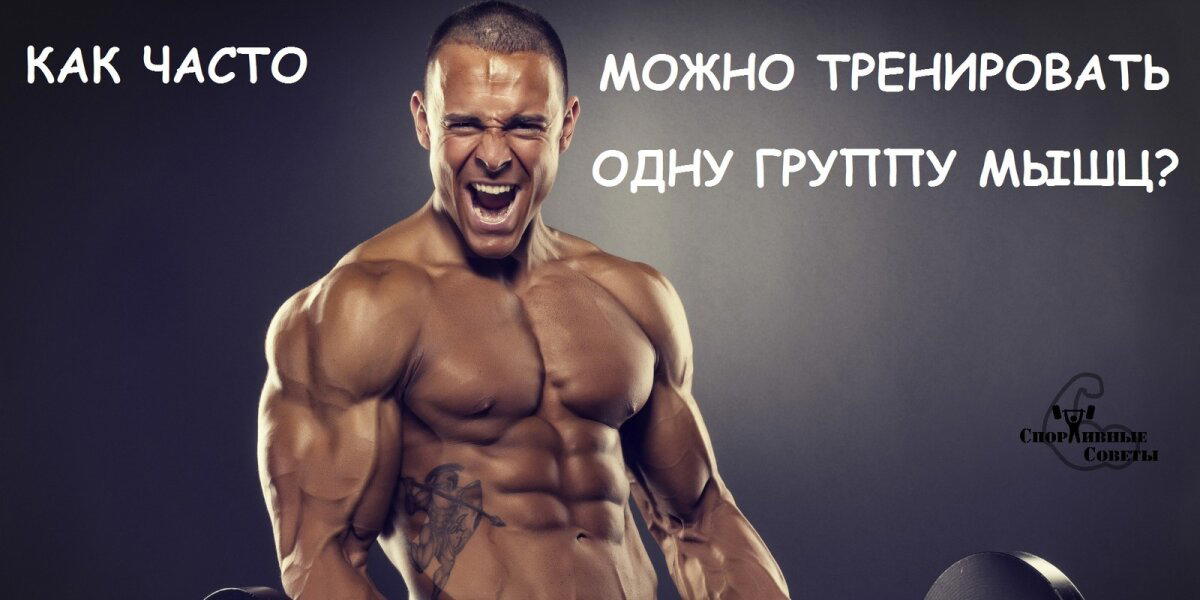 Как часто можно тренировать одну группу мышц?