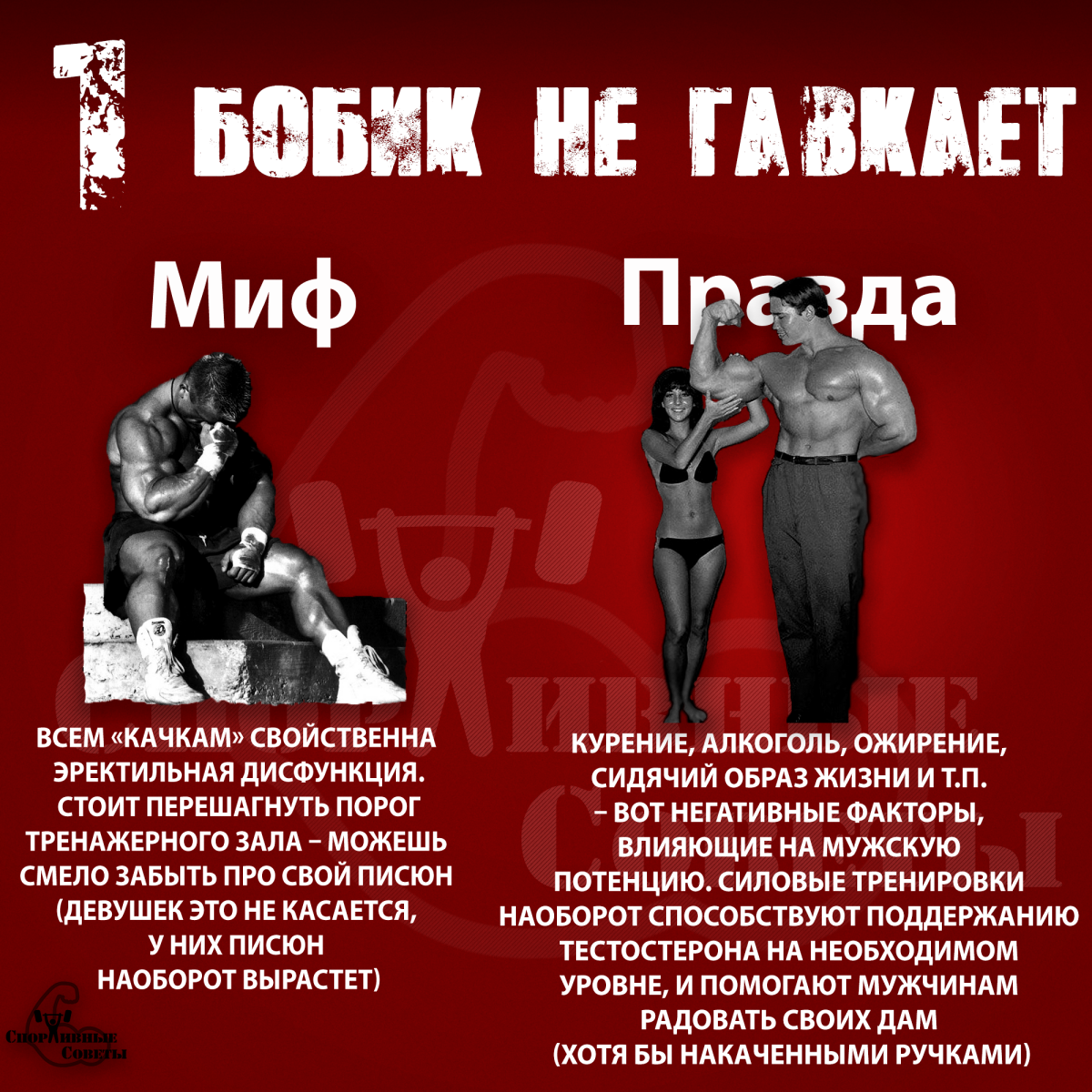 Мифы про тренировки Version 2.0