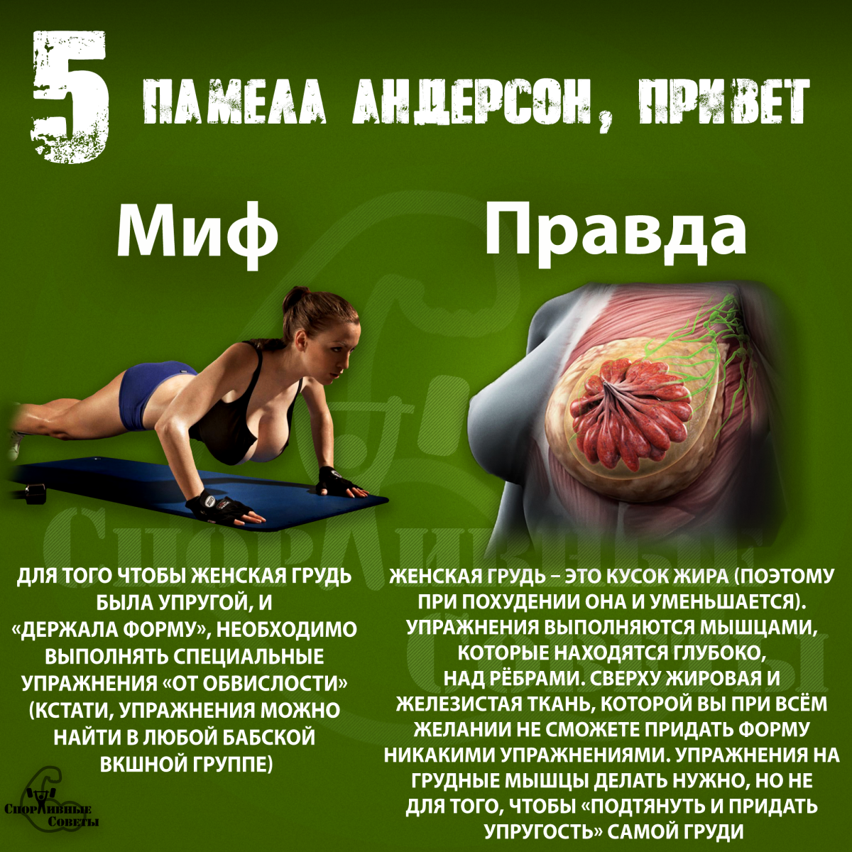 Мифы про тренировки Version 2.0