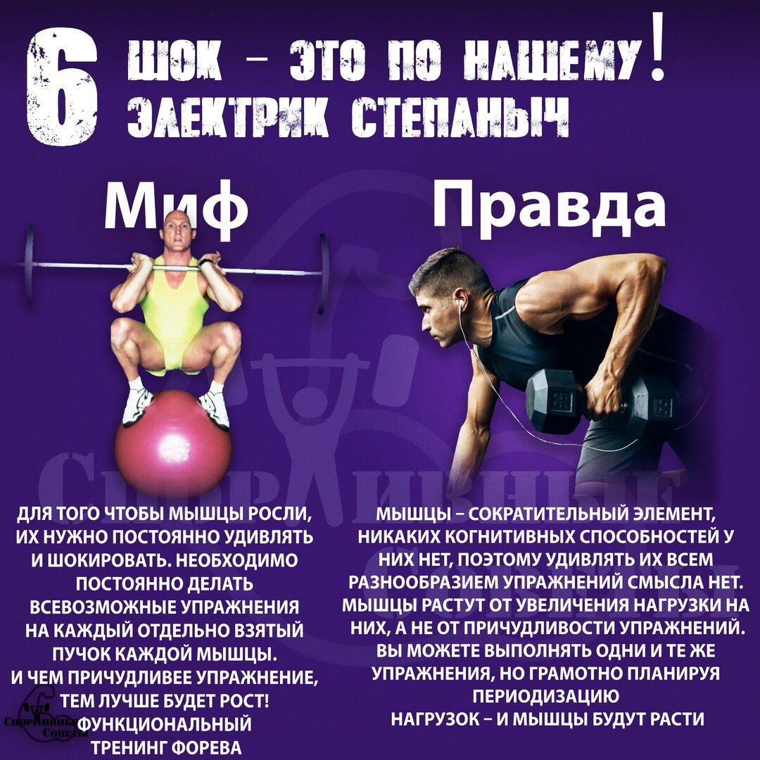 Мифы про тренировки Version 2.0