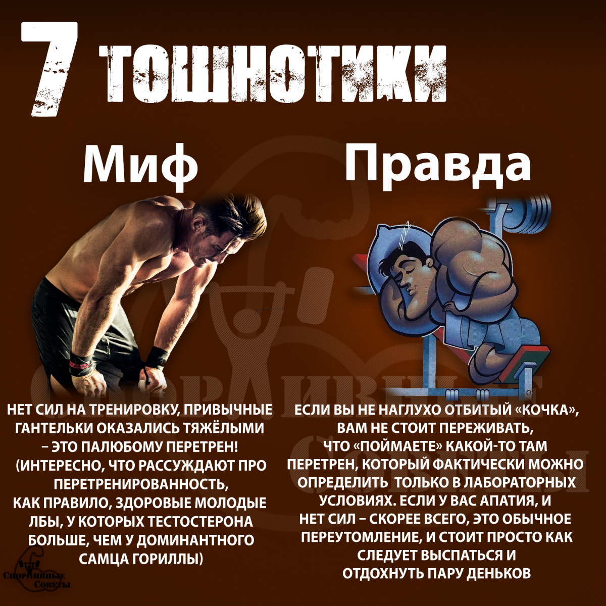 Мифы про тренировки Version 2.0
