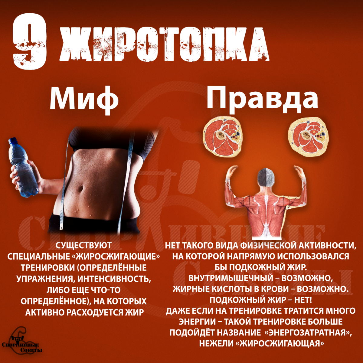 Мифы про тренировки Version 2.0