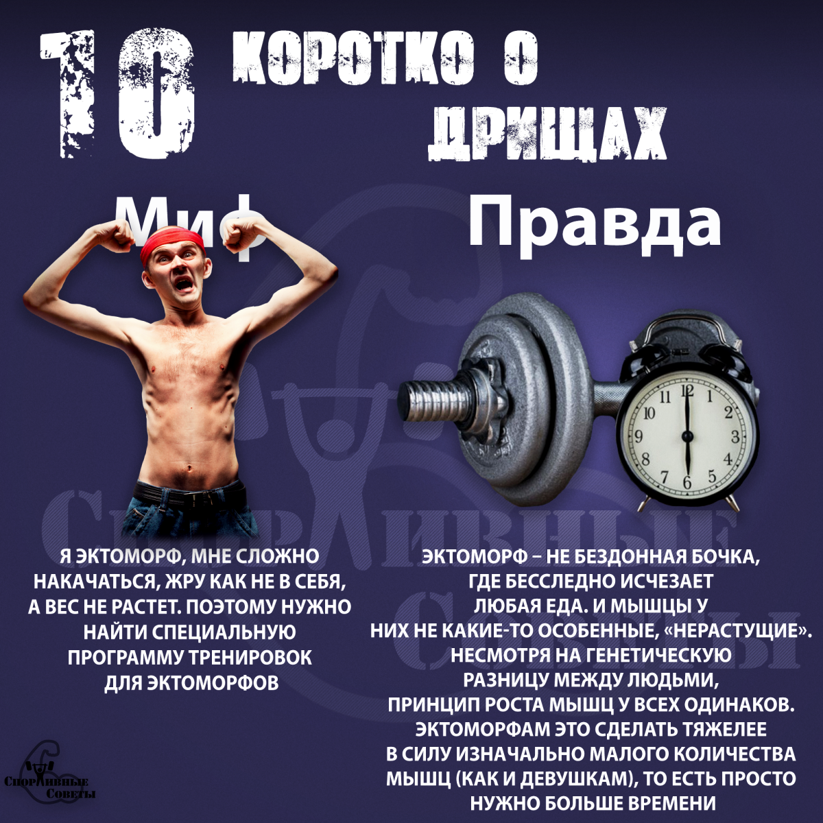 Мифы про тренировки Version 2.0