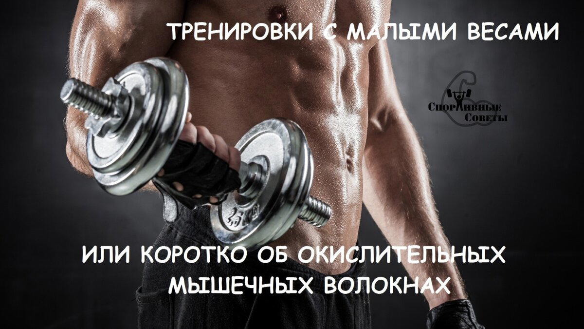 Тренировки с малыми весами или коротко об окислительных мышечных волокнах