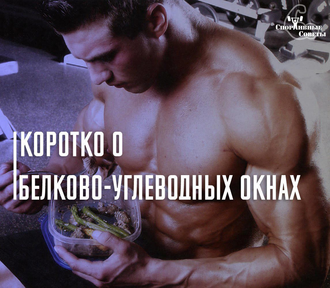 Коротко о белково-углеводных окнах