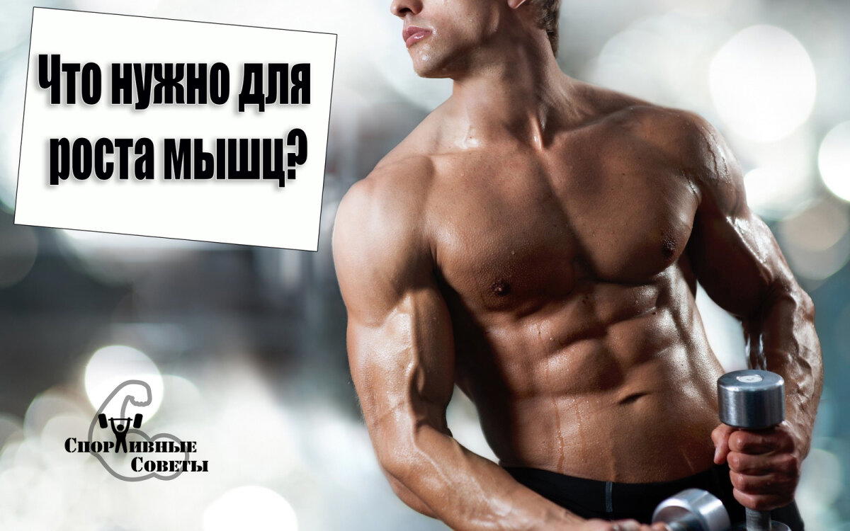 Что нужно для роста мышц?